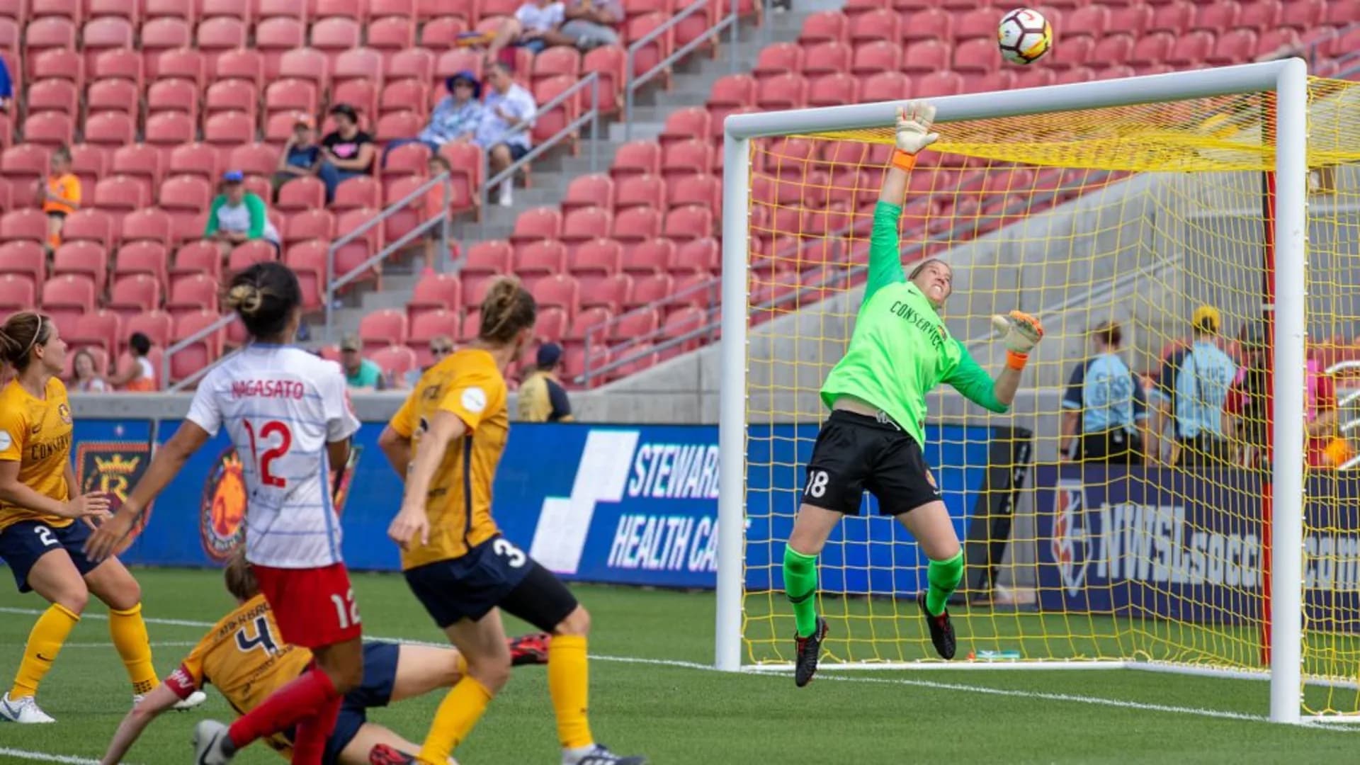 story-image-save-of-the-week-nicole-barnhart
