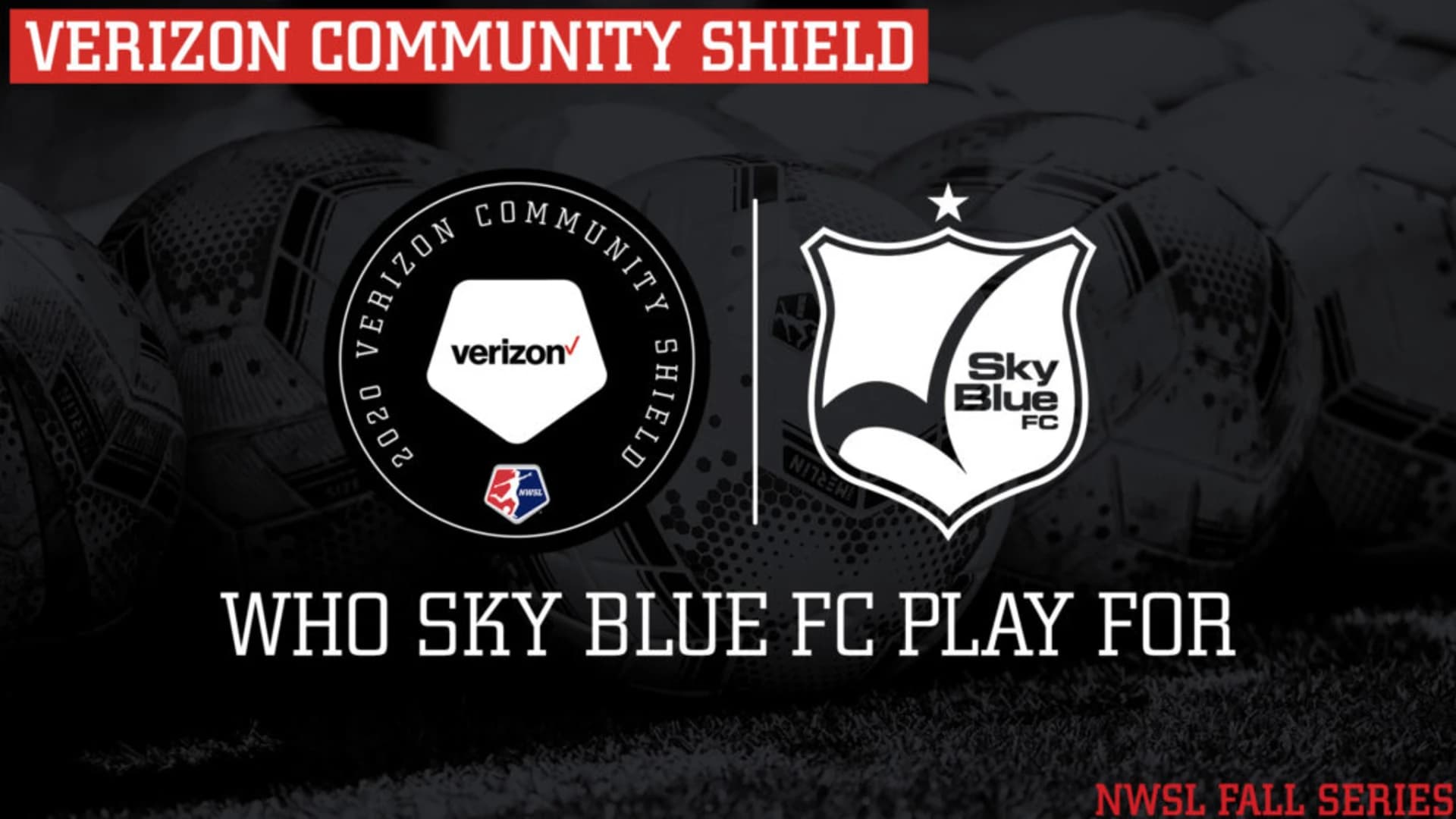 story-image-sky-blue-fc-to-play-for-local-non-profit-new-jersey-institute-for-social-justice-in-2020-verizon-community-shield