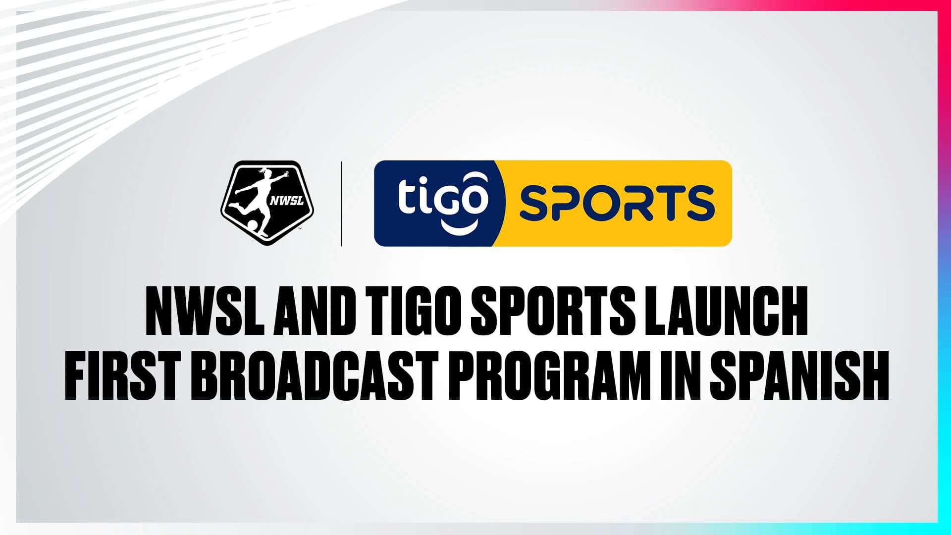tigo-in-english