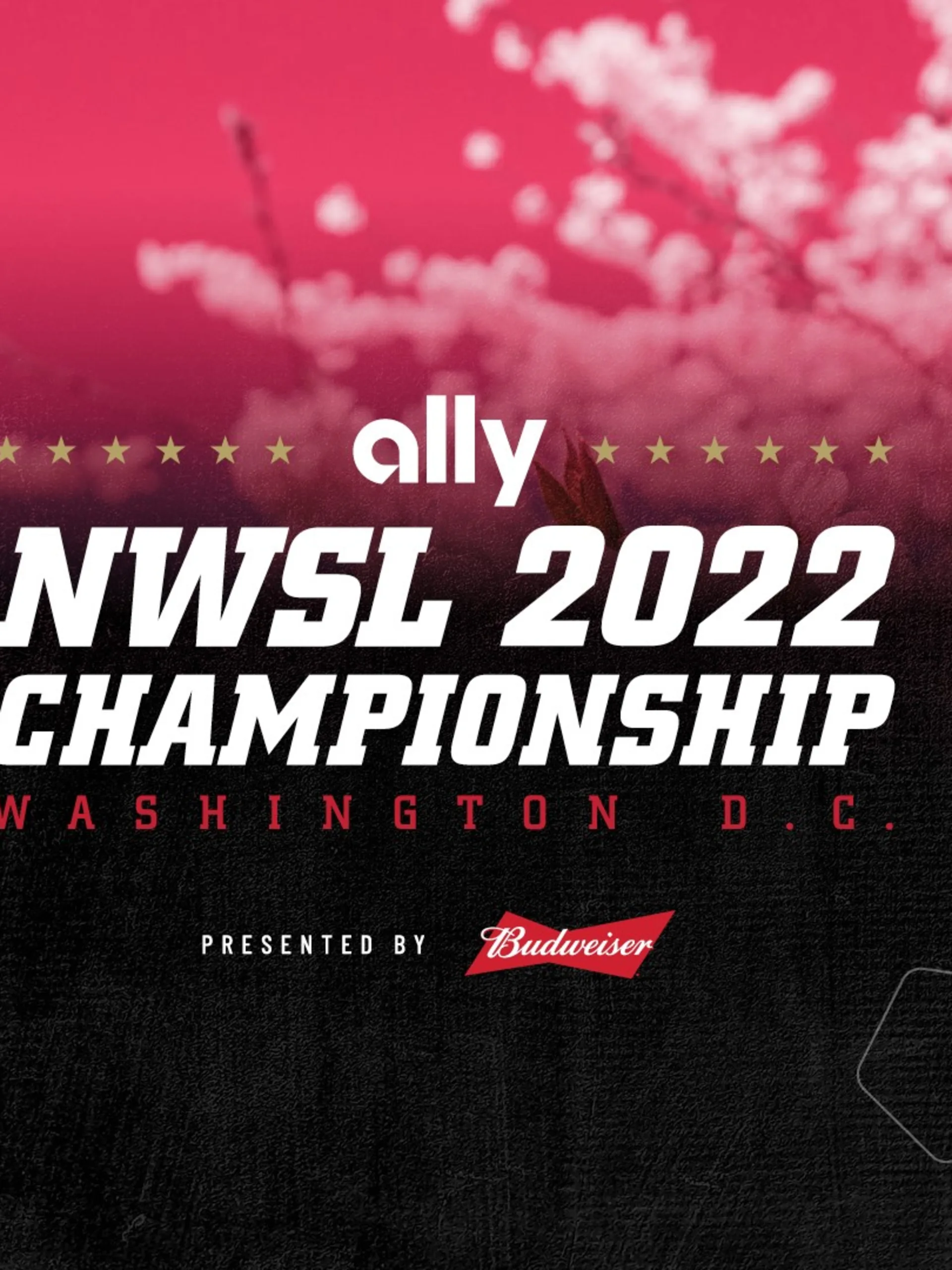 championship-announcement-header