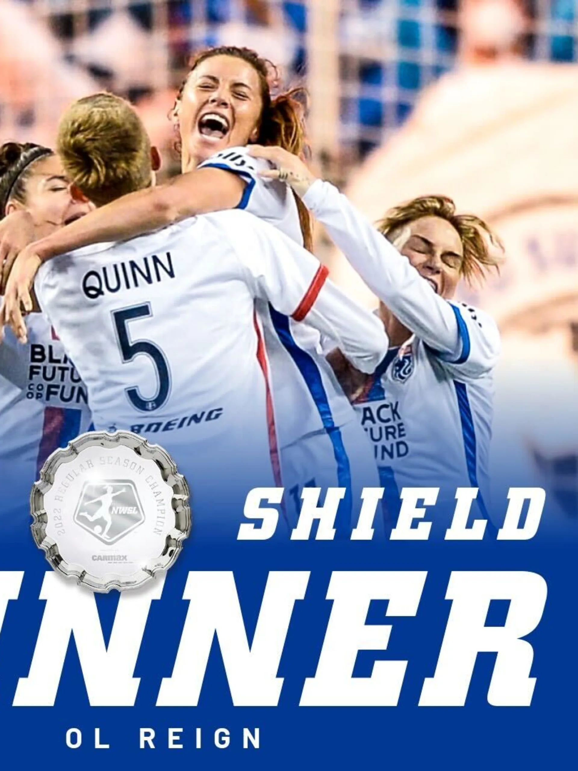 shield-clicnh